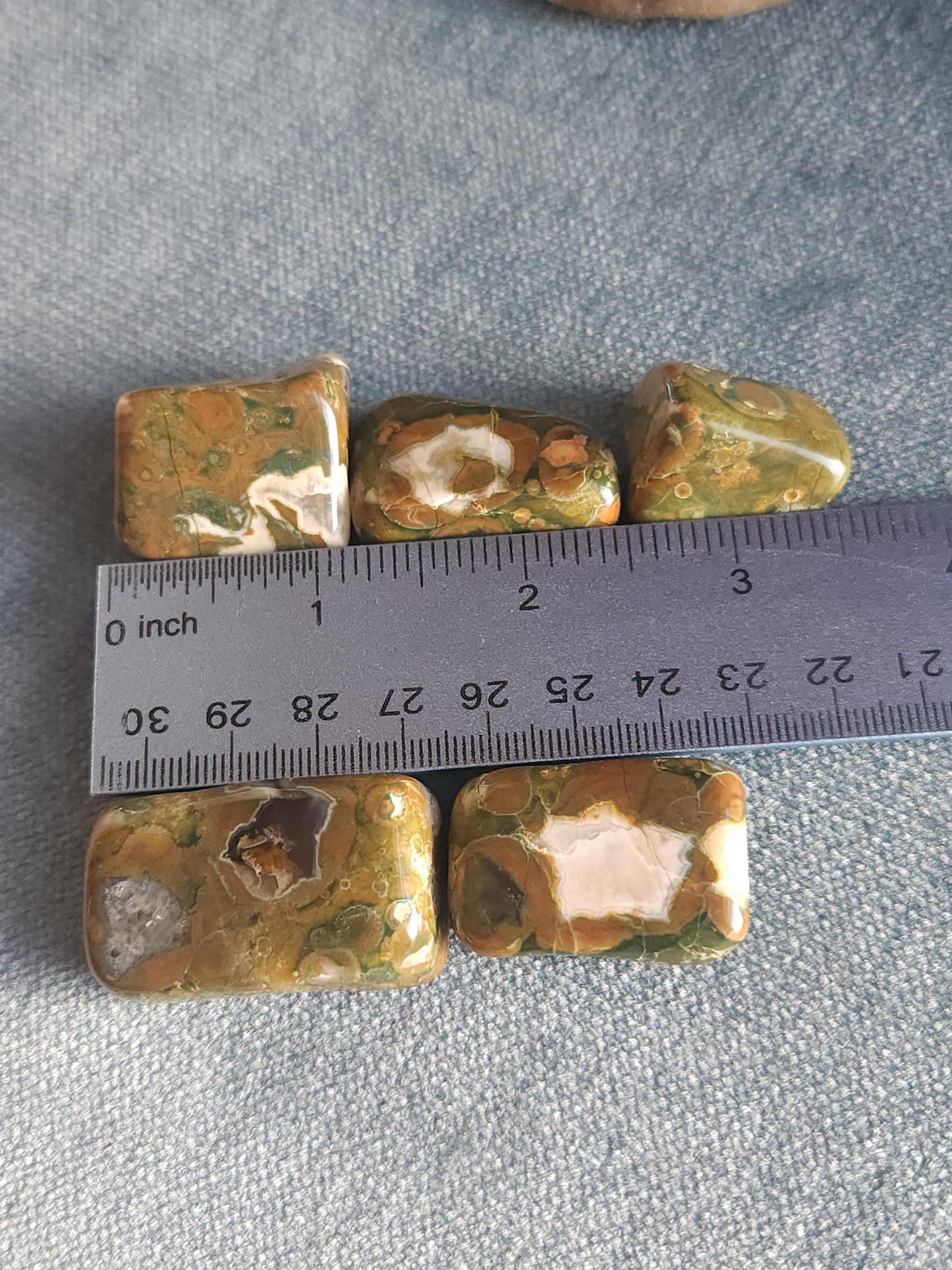 Rainforest Jasper Tumbles - Set A