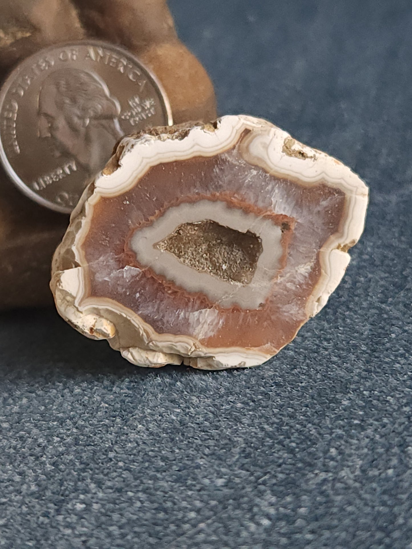 Kentucky Agate - Polished