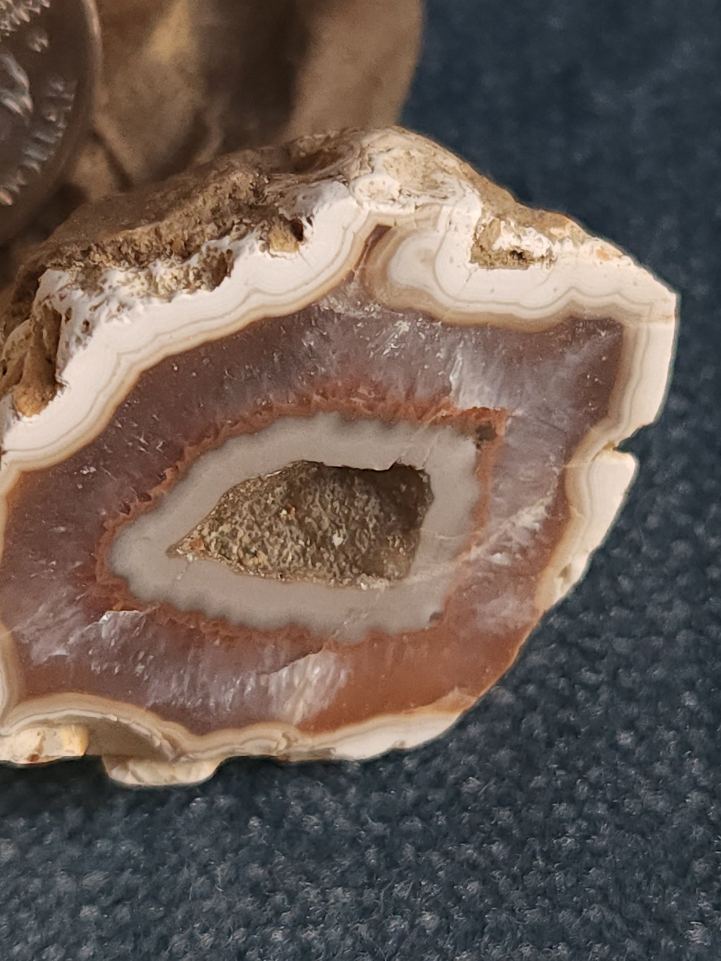 Kentucky Agate - Polished