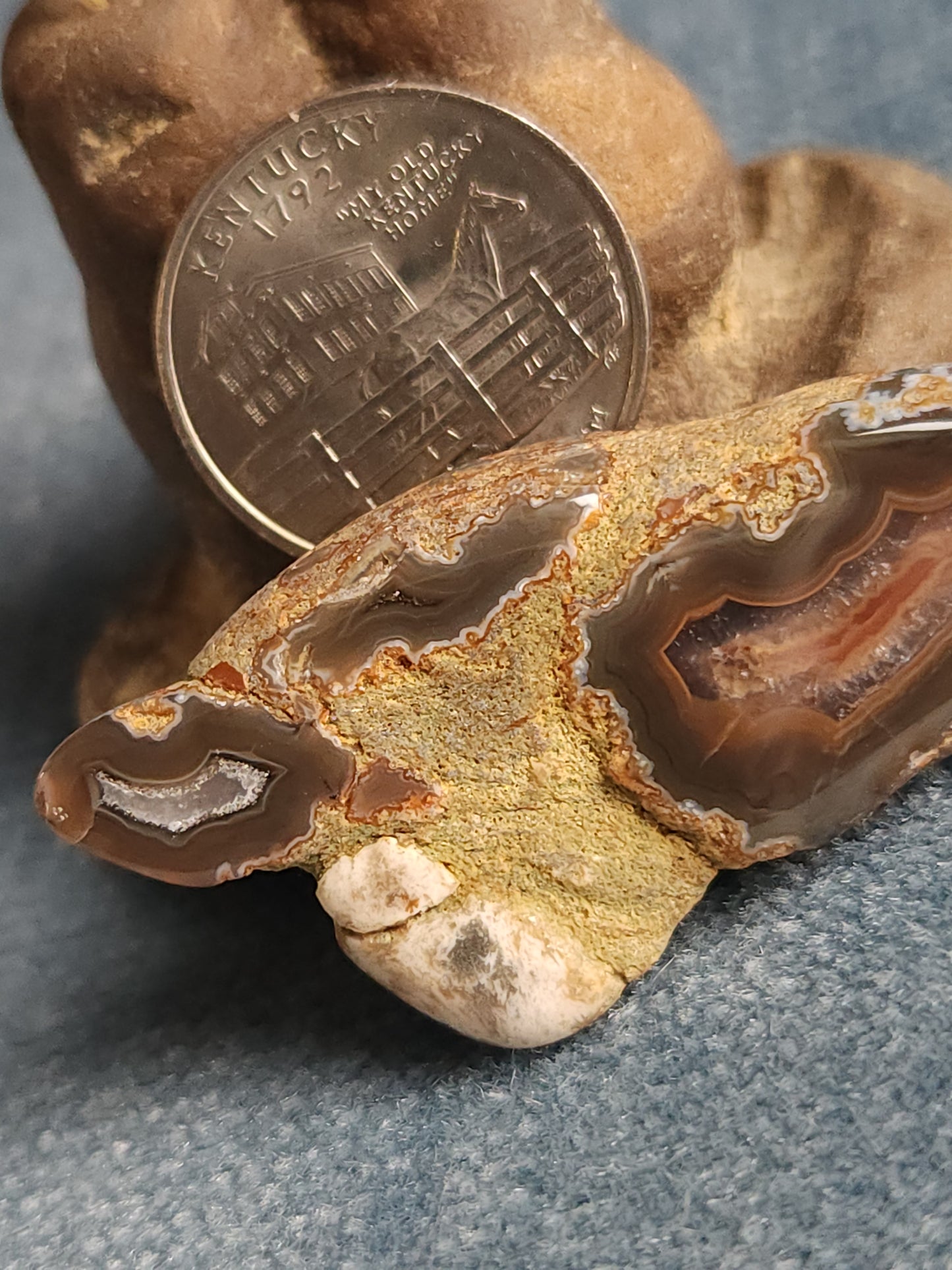 Kentucky Agate Tumble with Matrix