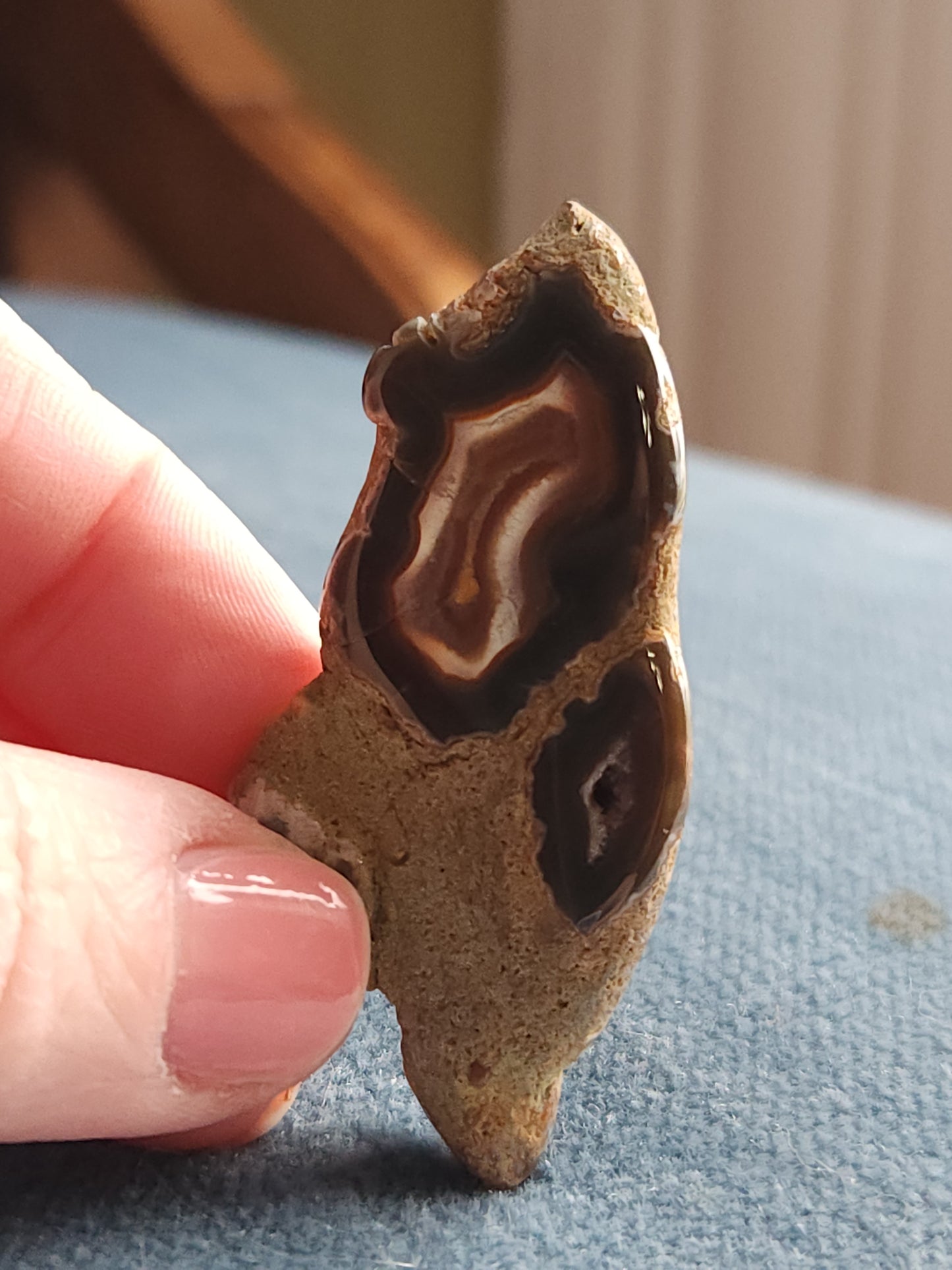 Kentucky Agate Tumble with Matrix