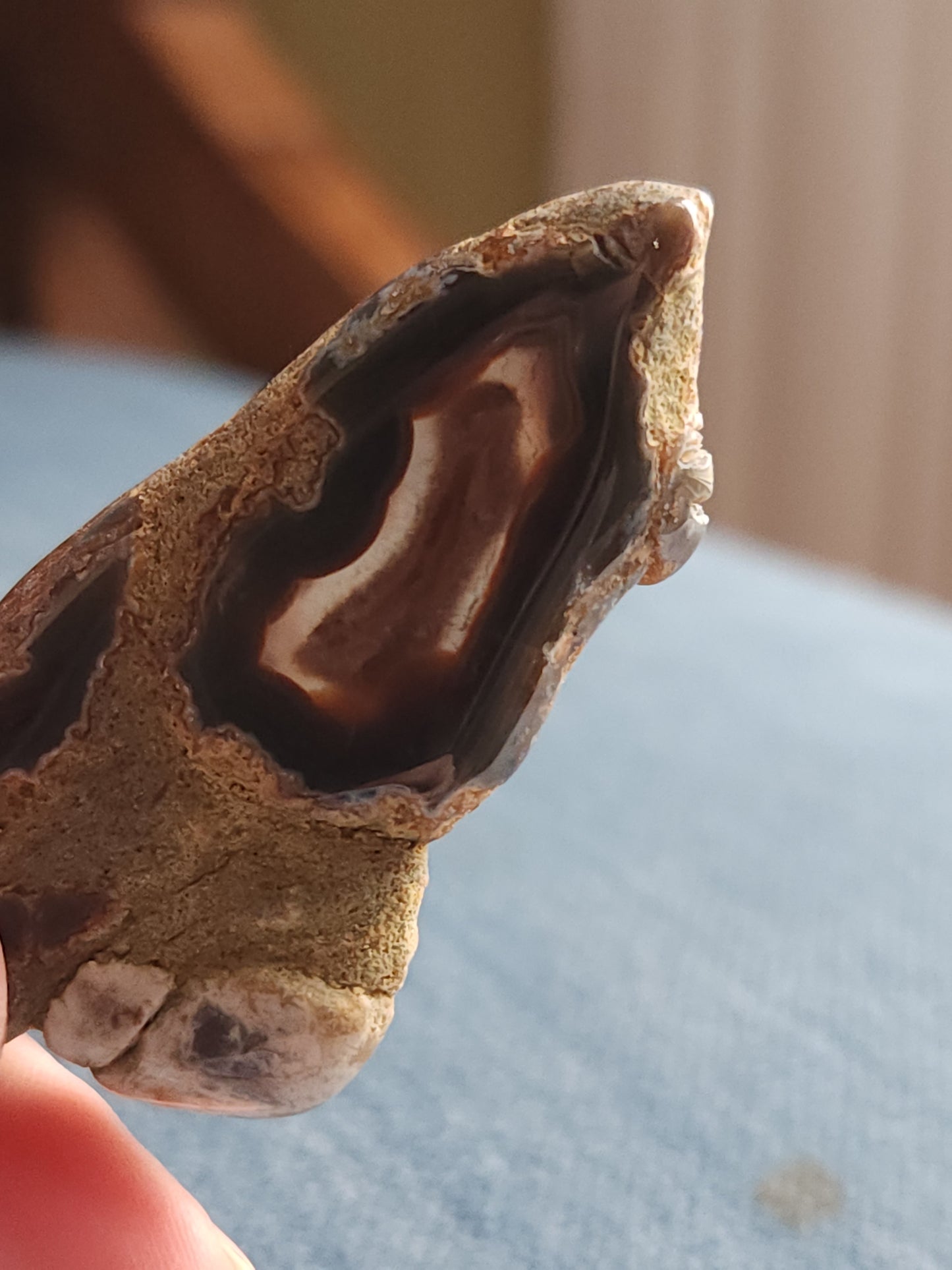 Kentucky Agate Tumble with Matrix